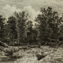 Шишкин Иван Иванович (1832-1898) &laquo;Запруда&raquo;. 1873 г. Бумага, офорт. 18,5х26,0.